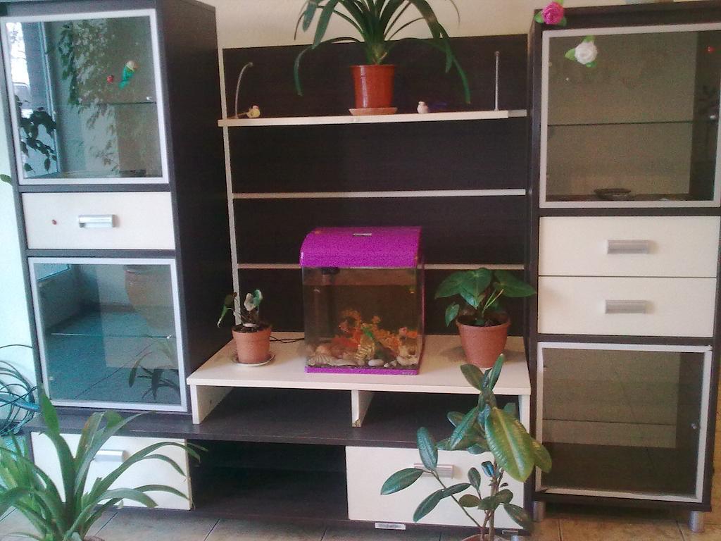 Hostel Raddus-Jss Tashkent Ngoại thất bức ảnh